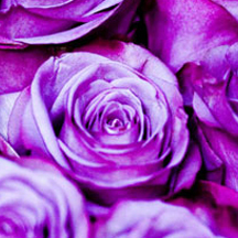 激活码代理的DDOS压力测试